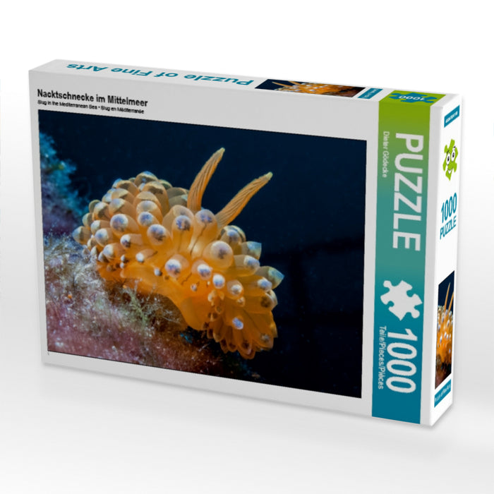 Nacktschnecke im Mittelmeer - CALVENDO Foto-Puzzle - calvendoverlag 29.99