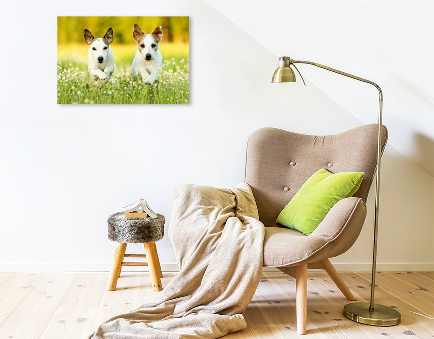 Premium Textil-Leinwand Premium Textil-Leinwand 75 cm x 50 cm quer Parson Russell Terrier