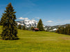 Blick auf den Grünten - CALVENDO Foto-Puzzle - calvendoverlag 29.99