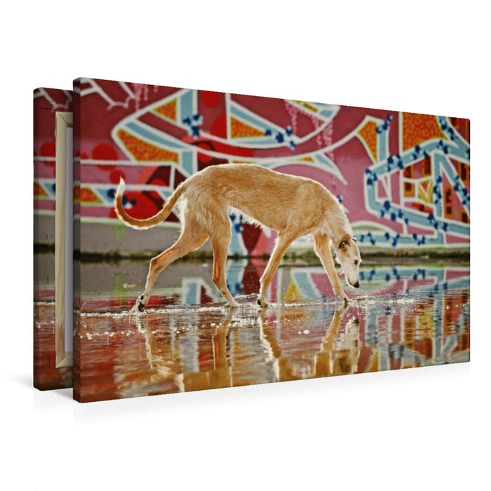 Premium Textil-Leinwand Premium Textil-Leinwand 90 cm x 60 cm quer Windhund in Graffiti