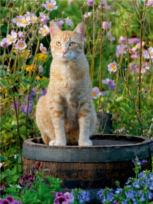 Rote Katze auf Holzfass im blühenden Garten - CALVENDO Foto-Puzzle - calvendoverlag 29.99