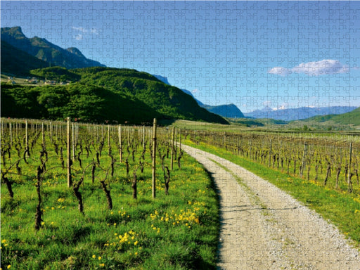 Im Etschtal nahe Tramin - CALVENDO Foto-Puzzle - calvendoverlag 39.99