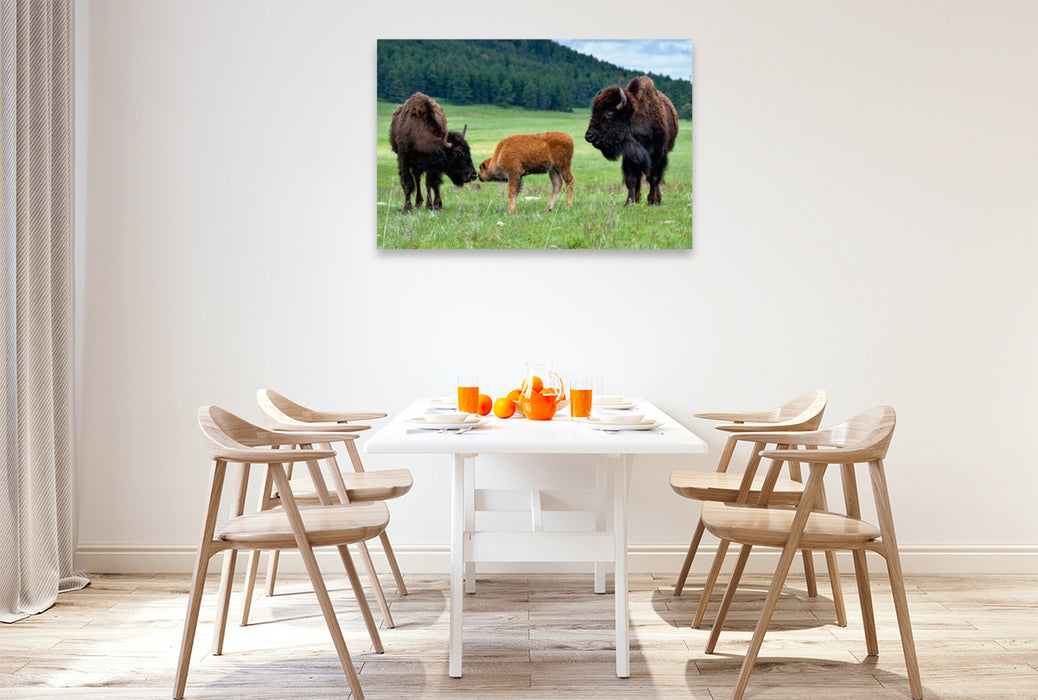 Toile textile haut de gamme Toile textile haut de gamme 120 cm x 80 cm paysage Famille de bisons dans le parc national Custer 