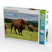 Bison Familie im Custer State Park - CALVENDO Foto-Puzzle - calvendoverlag 29.99