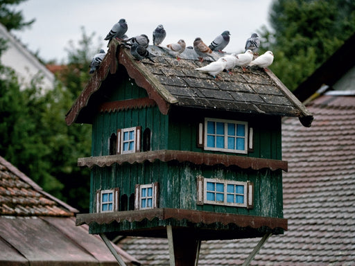 Taubenhäuser aus dem Dachauer Land - CALVENDO Foto-Puzzle - calvendoverlag 29.99