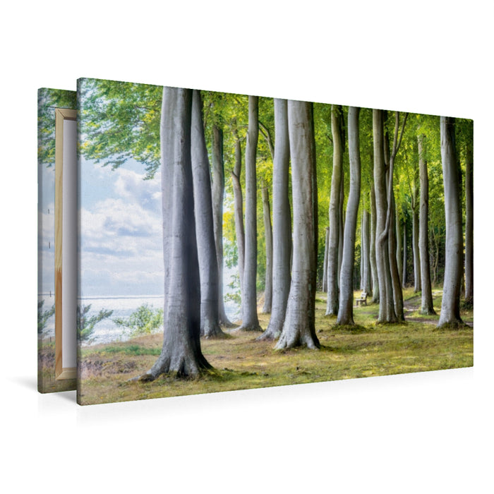 Premium Textil-Leinwand Premium Textil-Leinwand 120 cm x 80 cm quer Wald von Fanefjord