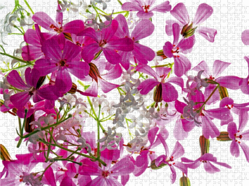 Blütentraum - CALVENDO Foto-Puzzle - calvendoverlag 29.99