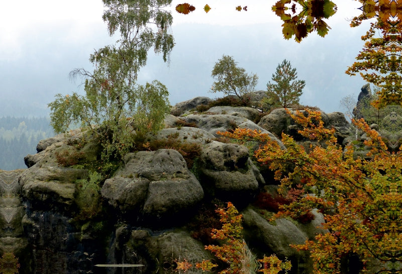 Toile textile haut de gamme Toile textile haut de gamme 90 cm x 60 cm paysage Ambiance d'automne dans les montagnes de grès de l'Elbe 
