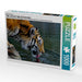 Tiger - die leisen Jäger des Dschungels - CALVENDO Foto-Puzzle - calvendoverlag 29.99