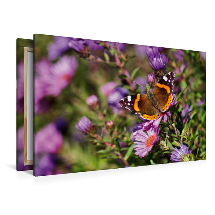 Premium Textil-Leinwand Premium Textil-Leinwand 120 cm x 80 cm quer Farbenprächtiger Schmetterling im Sonnenlicht