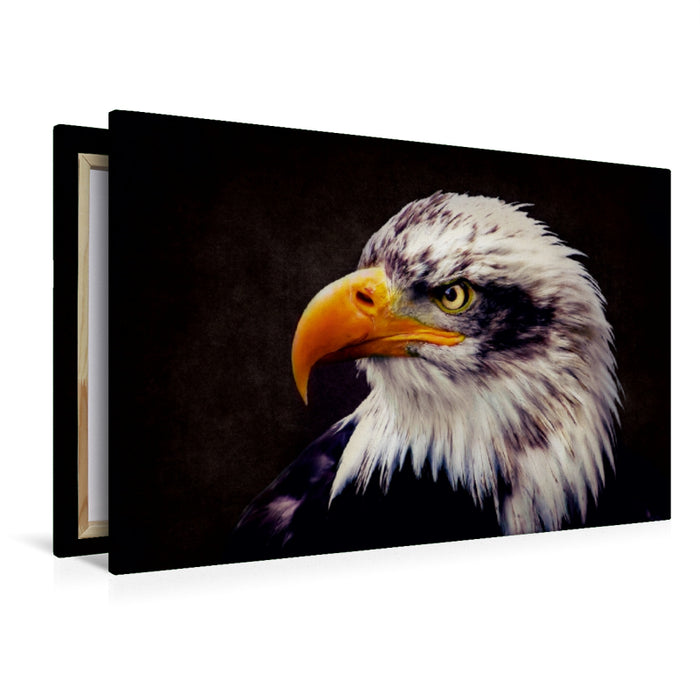 Toile textile haut de gamme Toile textile haut de gamme 120 cm x 80 cm paysage pygargue à tête blanche - oiseau de proie royal 