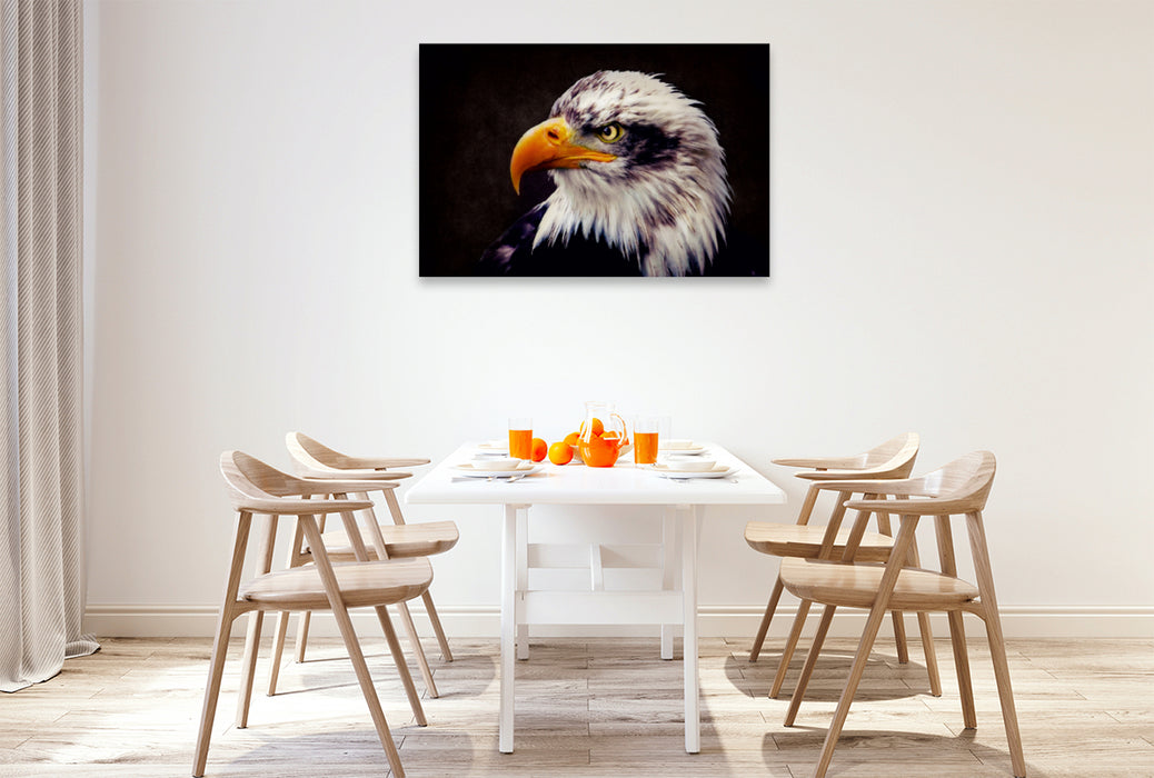 Premium Textil-Leinwand Premium Textil-Leinwand 120 cm x 80 cm quer Weißkopfseeadler - königlicher Raubvogel