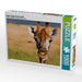 Auge in Auge mit der Giraffe - CALVENDO Foto-Puzzle - calvendoverlag 29.99