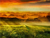 Sonnenaufgang über dem Getreidefeld - CALVENDO Foto-Puzzle - calvendoverlag 29.99