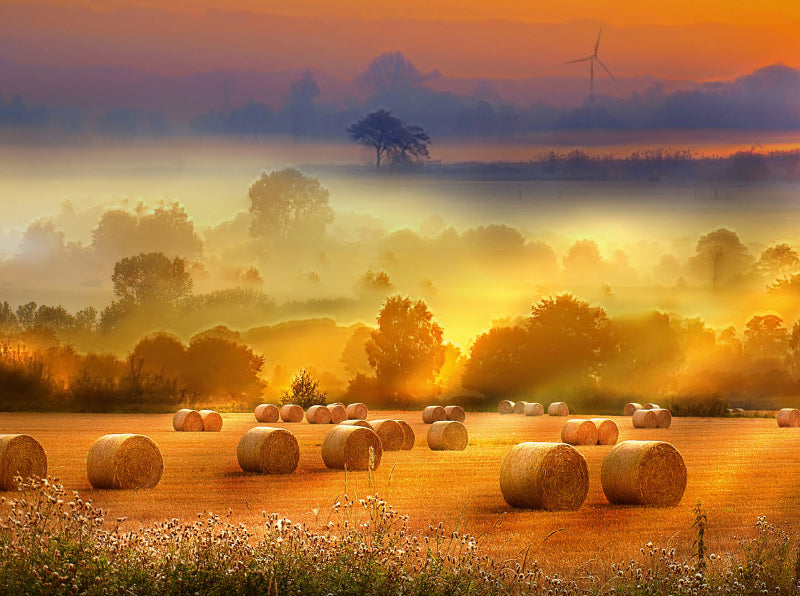 Strohballen auf dem Feld - CALVENDO Foto-Puzzle - calvendoverlag 29.99