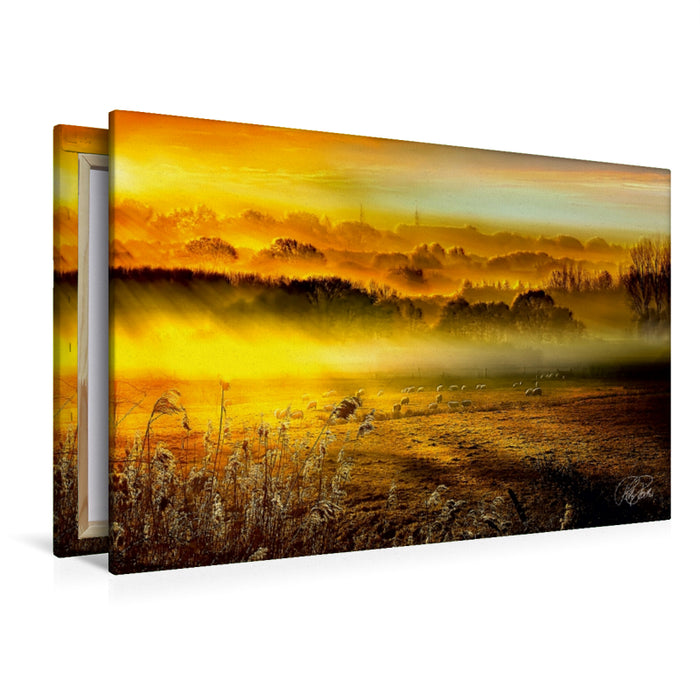 Premium Textil-Leinwand Premium Textil-Leinwand 120 cm x 80 cm quer Schafe auf der Weide im Sonnenaufgang