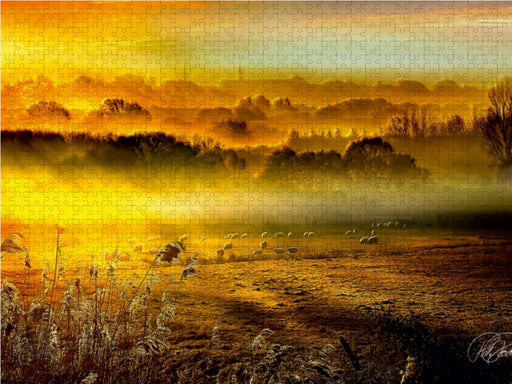 Schafe auf der Weide im Sonnenaufgang - CALVENDO Foto-Puzzle - calvendoverlag 29.99