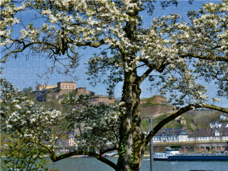 Koblenz - CALVENDO Foto-Puzzle - calvendoverlag 29.99