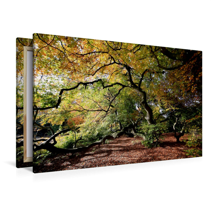 Toile textile premium Toile textile premium 120 cm x 80 cm paysage L'automne en couleur 