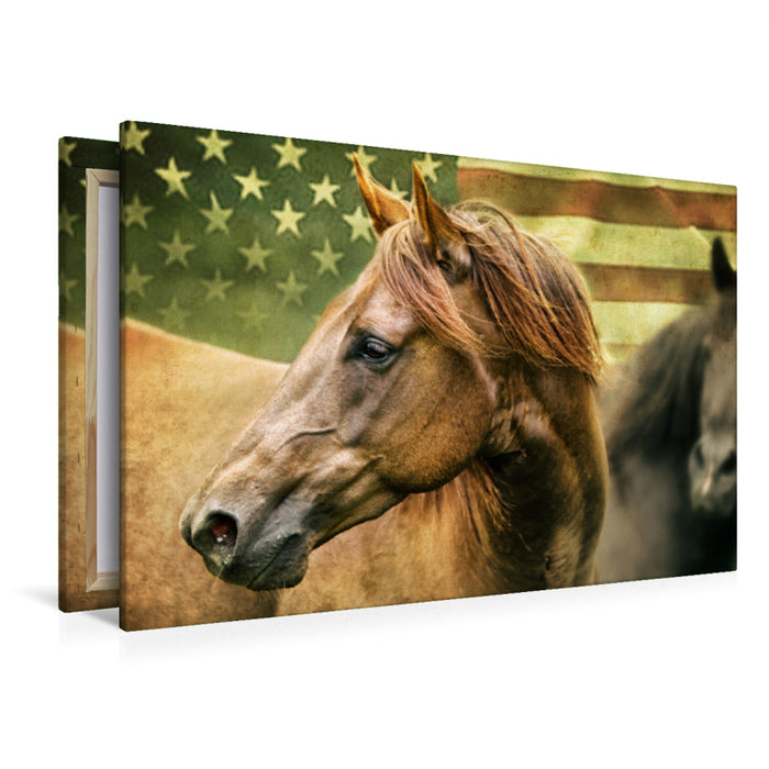 Premium Textil-Leinwand Premium Textil-Leinwand 120 cm x 80 cm quer American Quarter Horse