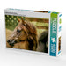 American Quarter Horse - CALVENDO Foto-Puzzle - calvendoverlag 29.99