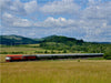 T478.1215 und T478.1010 in Kamenicka Nova Viska am 18.06.2016 - CALVENDO Foto-Puzzle - calvendoverlag 29.99