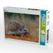 Igel - CALVENDO Foto-Puzzle - calvendoverlag 29.99