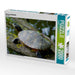 Wasserschildkröte - CALVENDO Foto-Puzzle - calvendoverlag 39.99