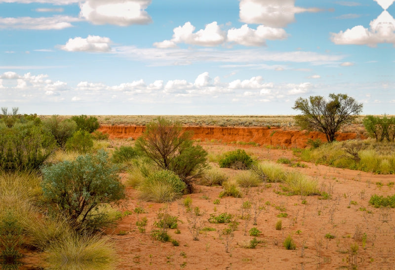 Toile textile haut de gamme Toile textile haut de gamme 75 cm x 50 cm à travers l'outback australien 