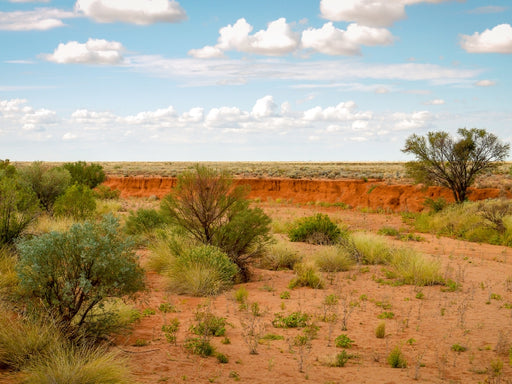 Australiens Outback - CALVENDO Foto-Puzzle - calvendoverlag 29.99