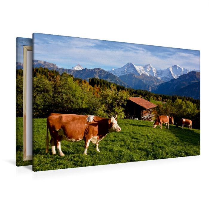Premium Textil-Leinwand Premium Textil-Leinwand 120 cm x 80 cm quer Schweizer Kühe