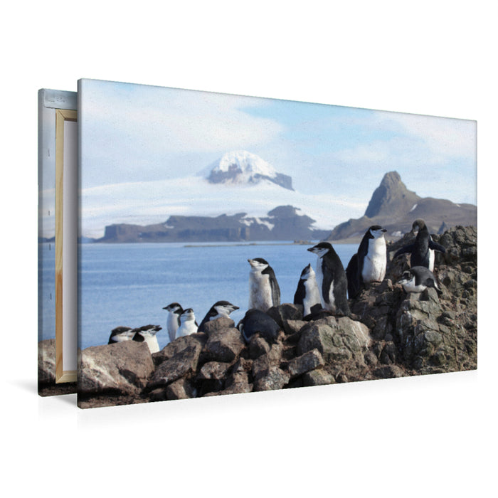Premium Textil-Leinwand Premium Textil-Leinwand 120 cm x 80 cm quer Ein Motiv aus dem Kalender Die Antarktis / CH-Version