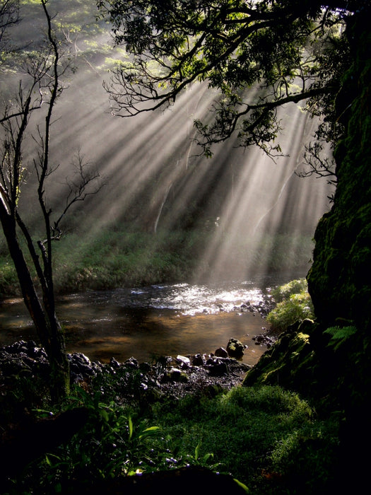 Sonnenaufgang Wailua Falls - Kauai - CALVENDO Foto-Puzzle - calvendoverlag 29.99