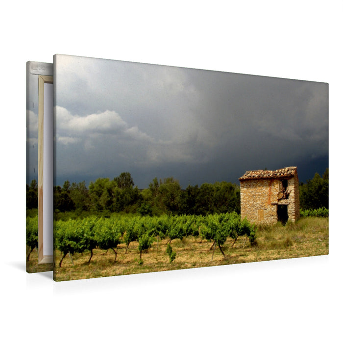 Toile textile premium Toile textile premium 120 cm x 80 cm paysage vignoble, Provence, sud de la France 