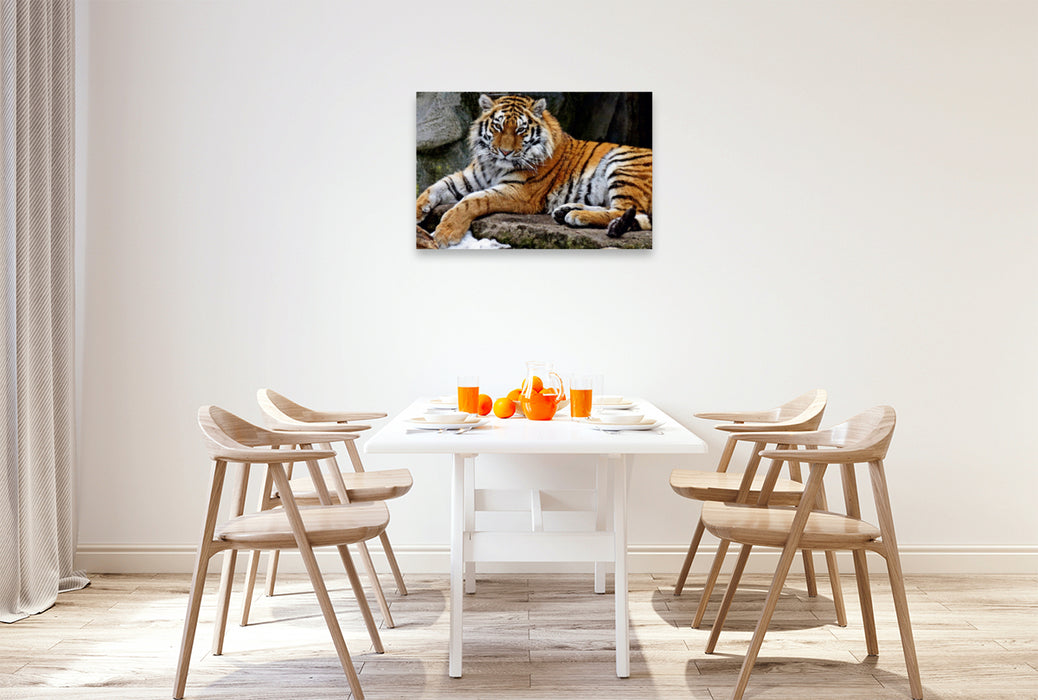 Premium Textil-Leinwand Premium Textil-Leinwand 90 cm x 60 cm quer Tiger