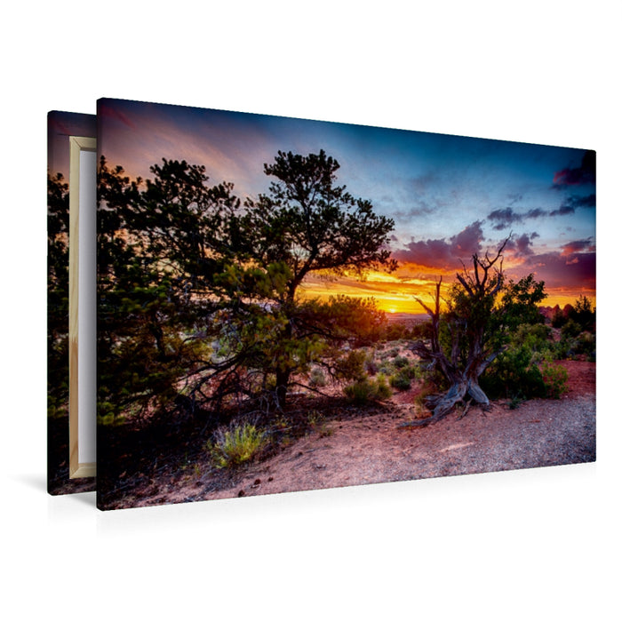 Premium Textil-Leinwand Premium Textil-Leinwand 120 cm x 80 cm quer Arches Nationalpark, Utah