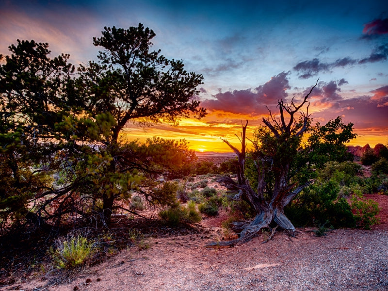 Arches Nationalpark, Utah - CALVENDO Foto-Puzzle - calvendoverlag 29.99