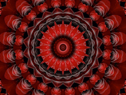 Mandala Leidenschaft rot - CALVENDO Foto-Puzzle - calvendoverlag 29.99