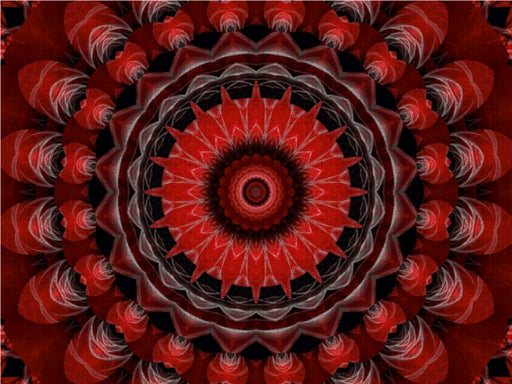 Mandala Leidenschaft rot - CALVENDO Foto-Puzzle - calvendoverlag 29.99