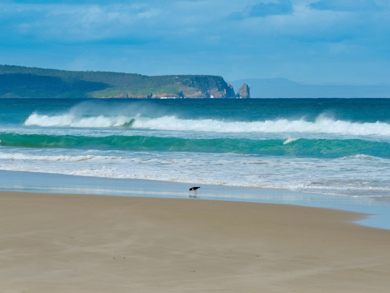 Bruny Island, Tasmania - CALVENDO Foto-Puzzle - calvendoverlag 29.99