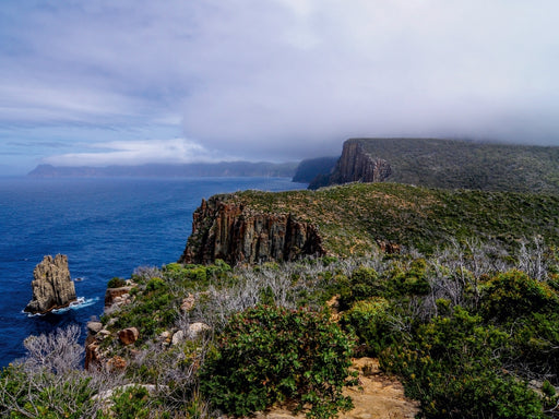 Naturlandschaften Tasmaniens - CALVENDO Foto-Puzzle - calvendoverlag 29.99