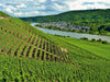 Weinberg in Winningen an der Mosel - CALVENDO Foto-Puzzle - calvendoverlag 29.99