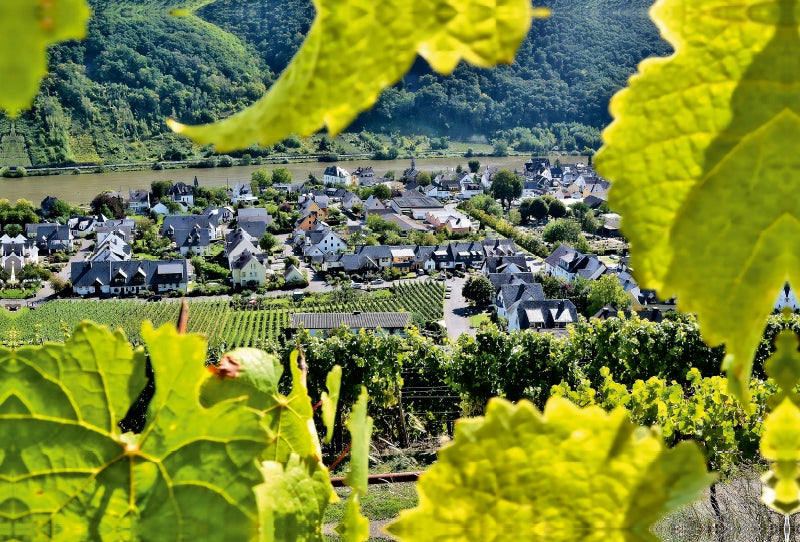 Toile textile haut de gamme Toile textile haut de gamme 120 cm x 80 cm paysage La ville viticole de Winningen sur la Moselle 