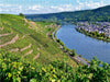 Steillagen in Winningen an der Mosel - CALVENDO Foto-Puzzle - calvendoverlag 29.99