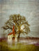 Altötting-Idyll - CALVENDO Foto-Puzzle - calvendoverlag 29.99