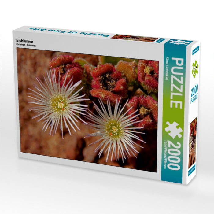 Eisblumen - CALVENDO Foto-Puzzle - calvendoverlag 39.99