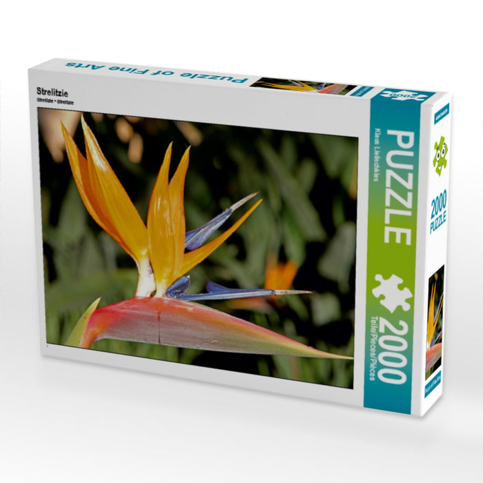 Strelitzie - CALVENDO Foto-Puzzle - calvendoverlag 39.99