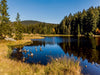 Der Fichtelsee im Fichtelgebirge - CALVENDO Foto-Puzzle - calvendoverlag 29.99