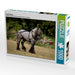 Trait Poitevin - CALVENDO Foto-Puzzle - calvendoverlag 29.99