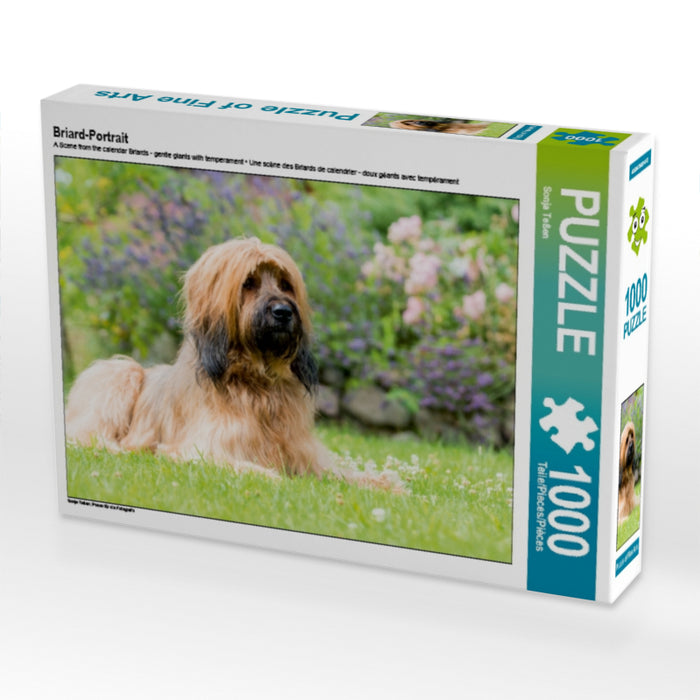 Briard-Portrait - CALVENDO Foto-Puzzle - calvendoverlag 31.99